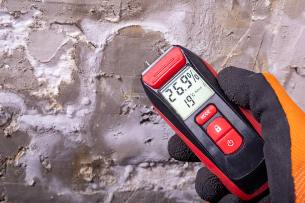 Best Mold Testing and Inspection Services in Ada, OK
