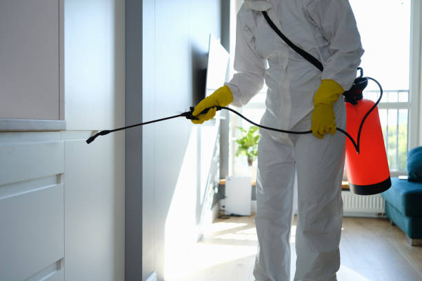 Best Health and Safety Mold Remediation in Ada, OK