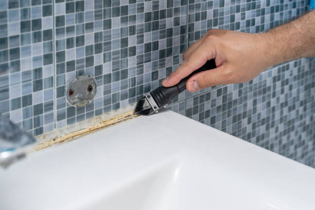 Best Residential Mold Remediation in Ada, OK